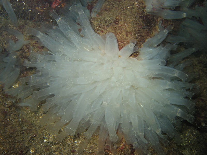 ../Images/DSechelt 014.jpg